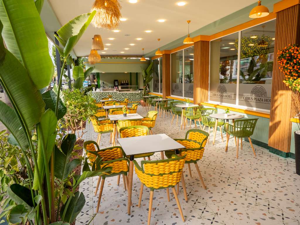 Detoxbar og konditori