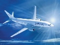 flight